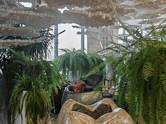-哈尔滨圣安口腔专科医院