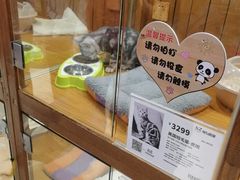 -龟与熊猫宠物公园(南坪店)