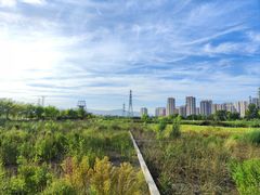 -永定河休闲森林公园