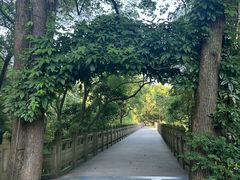 -南山植物园