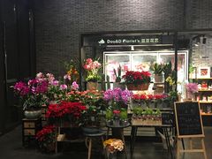 -豆豆花艺(新光天地店)