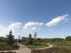 -渭滨公园