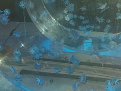 -常州海昌海洋探索馆