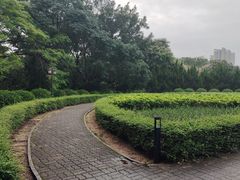 -南沙蒲洲花园