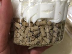 -红宝石·鲜奶小方(联洋店)