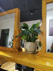 -明洞造型精品烫染