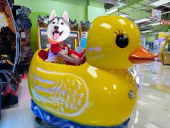 -莫莉幻想儿童乐园(北京华联亦庄购物中心店)