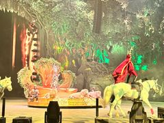 -广州长隆国际大马戏