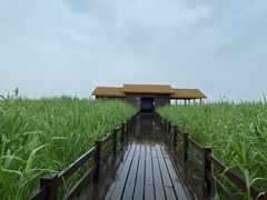 -宁波杭州湾国家湿地公园