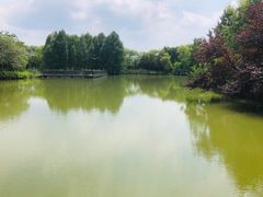 -苏州太湖国家湿地公园