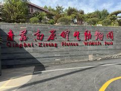 -青藏高原野生动物园