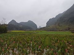 -靖西鹅泉风景区