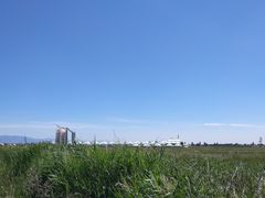 -哈素海