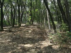 -喻家山
