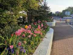 -神户市立六甲山牧场