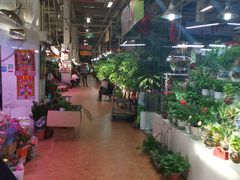 -大自然花鸟鱼虫市场