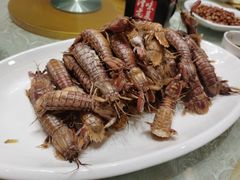 -津味老菜(露西亚商街店)