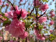 -圆通禅寺