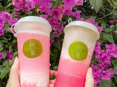 -树夏(建设路店)