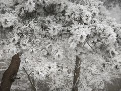 -武当山风景区
