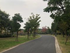 -贡湖湾湿地公园