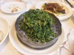 -金春禧(英雄山路旗舰店)