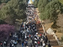 -庐山风景名胜区-东林大佛