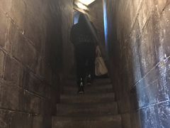 -圣母百花大教堂穹顶