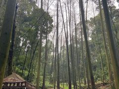 -凤栖山