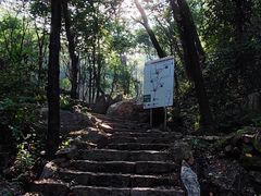 -大岭沟猕猴桃谷风景区