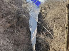 -王莽岭风景区