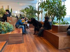 -Seesaw Coffee(朝阳大悦城店)