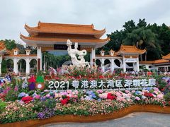 -深圳仙湖植物园