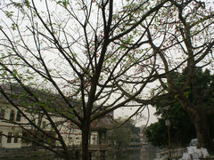 -黄埔古港