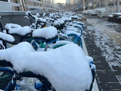 -碧中海汤泉汗蒸酒店