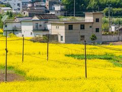 -绩溪龙川景区