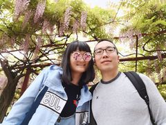 -嘉定紫藤园