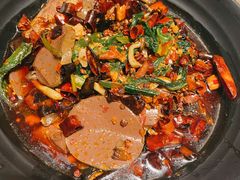 精品毛血旺-红辣椒·川菜·火锅(朝外店)