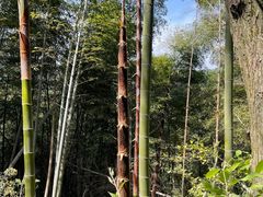 -会稽山峡洞漂流-上青古道