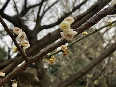 景点-秀丽东方