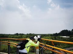 -滕州微山湖红荷湿地景区