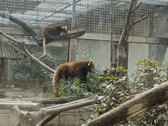 -青岛动物园