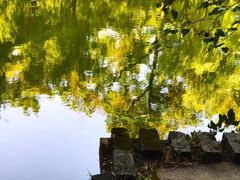 -湖北省美术院美术馆