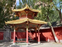 -护国法轮寺
