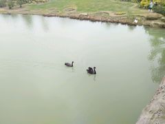 -瑶湖郊野森林公园
