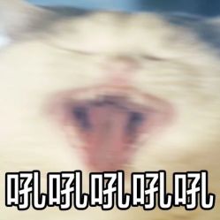 -白夜刺青