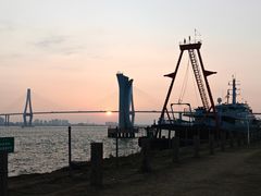 -中澳友谊花园