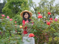 -铁山坪森林公园