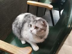 -作咖啡(养育巷店)