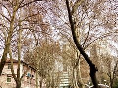 -陕西师范大学(雁塔校区)